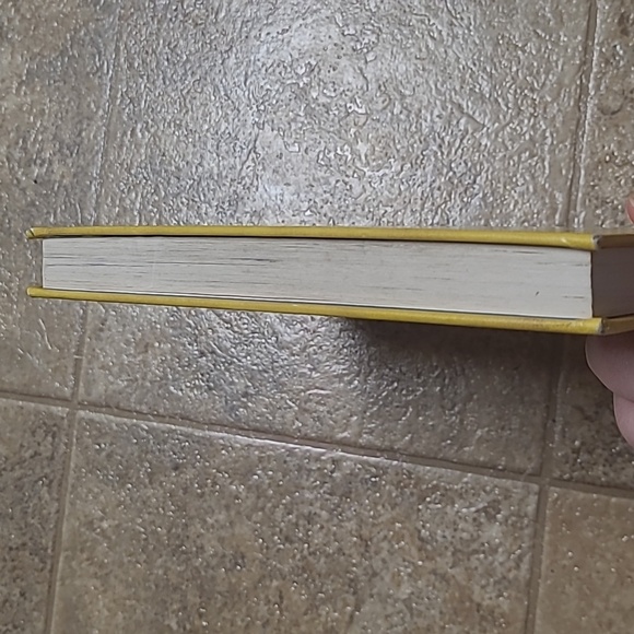 Diary of a Wimpy Kid: Dog Days - Yellow Cover - Picture 4 of 4